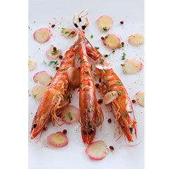 Kuruma shrimp from France by Aquaprawna, Recipes