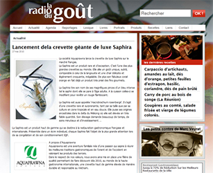 Lancement de la crevette géante de luxe Saphira | La Radio du Goût